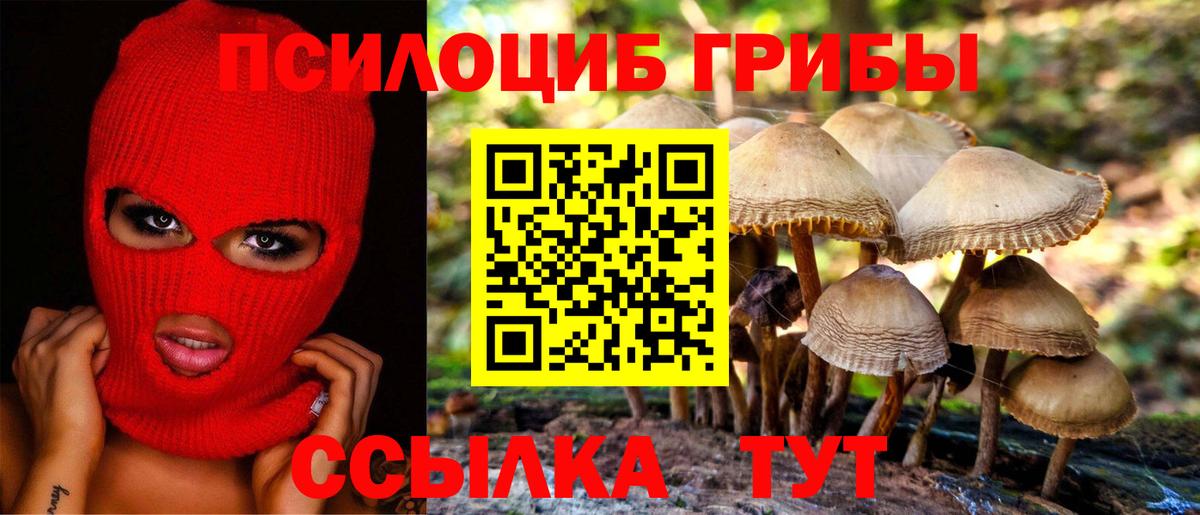 Псилоцибиновые грибы GOLDEN TEACHER Касимов