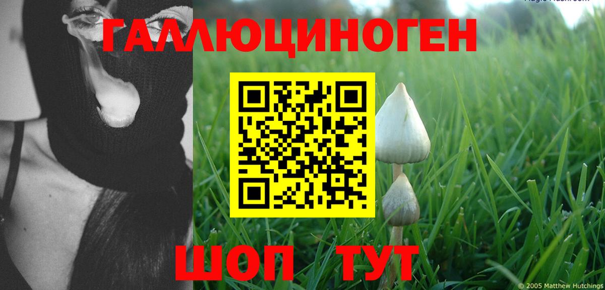 Псилоцибиновые грибы прущие грибы  где купить   Вход с VPN  Касимов  Псилоцибиновые грибы мухоморы 